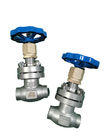 -80C Cryogenic Globe Valve With Socket Weld Ends