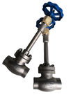 DN25 PN40 Manual Stainless Steel Cryogenic Globe Valve For LNG