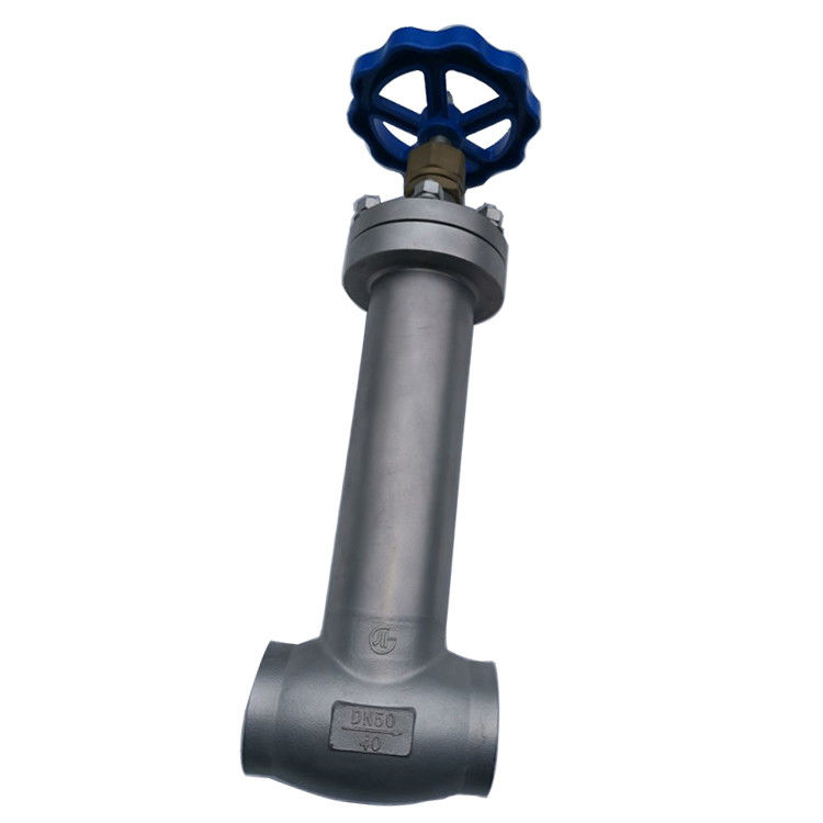 Long Stem SS304 316 CF8 CF8M Or Other Material Customize Cryogenic Globe Valve