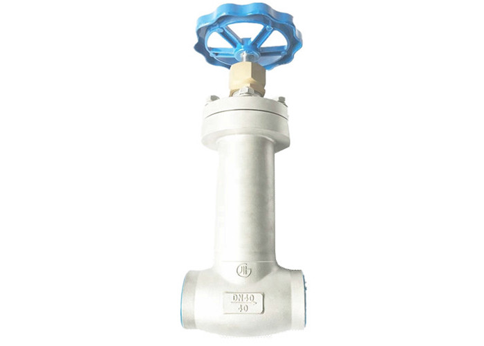 Steam Jacket Globe Valve Cast Steel Customize Pressure SS Welding