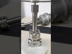 Stain Steel BW-SW Connection PN10-32Mpa Cryogenic High pressure globe Valve