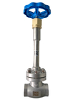 Low Temperature SS DN25 PN25 Cryogenic Globe Valve Manual Operation