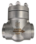 Stainless Steel Cryogenic High Pressure Check Valve DN25