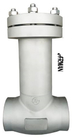 ARMAN- Stainless Steel Cryogenic Insulation Check Valve SW Connection