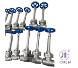 DN10-100 Cryogenic Pressure Vessel Valve For LNG LOX LIN LAR CO2