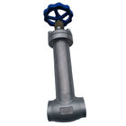 Stainless Steel 304 /316  Low Temperature PCTFE Disc Seal Cryogenic Globe Valve