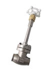 Stainless Steel 304 CF8 DN20 Low Temperature Globe Valve