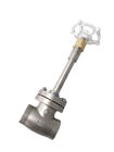 Low Temperature DN40 CF8 304 Stainless Steel Stop Valve