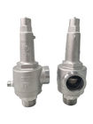 Manual DN25 CF8 Cryogenic Fall Lift Safety Valve