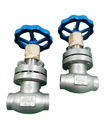 LNG LO2 LN2 DN15 PN40 Stainless Steel Globe Valve