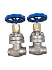 Temperature -80℃ Cryogenic Globe Valve PN40 With Socket Weld Ends