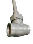 Cryogenic PN40 Low Temperature Globe Valve Socket Weld For O2