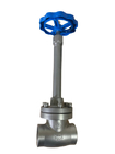 PN40 SS304 Low Temperature Globe Valve Flange Type Long Stem For LNG