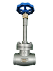 Low Temperature Cryogenic Weld Type Globe Valve Long Stem For LNG