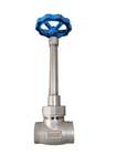 LNG Stainless Steel Globe Valve Cryogenic With Reliable Sealing