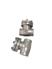 DN40 Stainless Steel Cryogenic Check Valve for LNG