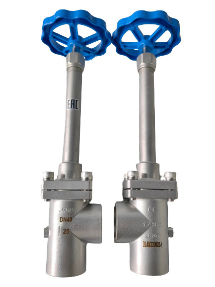 Stainless Steel DN40 PN25 Long Shaft Angle Cryogenic Globe Valve Manual Operation