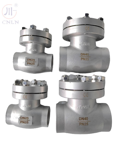 Stainless Steel CDH61F DN25/DN40 Cryogenic Check Valve for LNG/LOX/LN2/LAR/LCO2