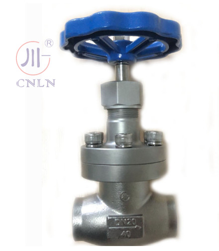 PN40 DN20 Stainless Steel Low Temperature Globe Valve Short Stem For LNG/LOX/LN2/LAR/LCO2