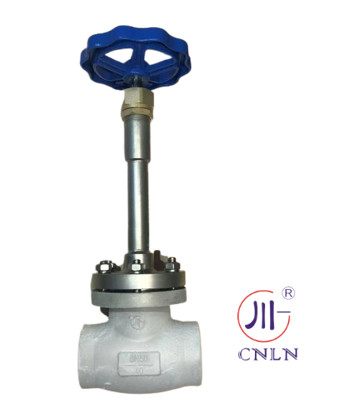 DN40 Cryogenic Long Stem Globe Valve PTFE Valve CF8 CF3 Blue Handwheel For Specail Gases