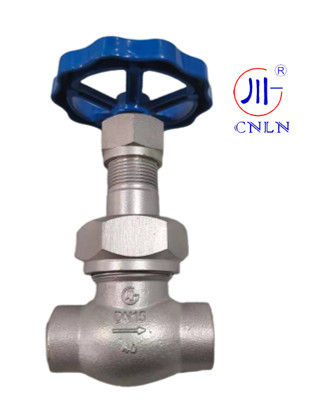 CNLN/Arman DJ61F-40P SS304/316 Cryogenic Globe Valve Short Stem-Type C(DN10-50mm) for LNG/LOX/LN2 Systems | CE/ISO/EAC Certified
