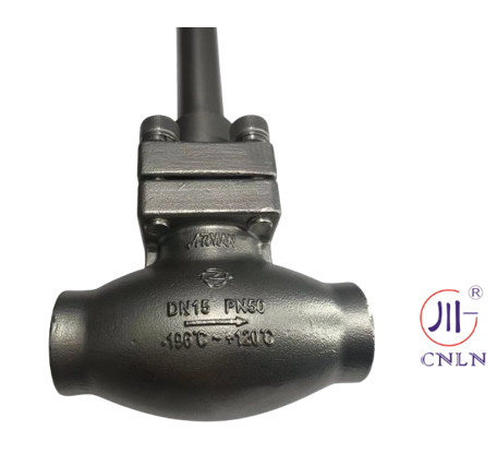 DN10-100 Cryogenic Long Stem Globe Valve Cryogenic pressure vessel parts LNG,LOX,LIN,LAR valve