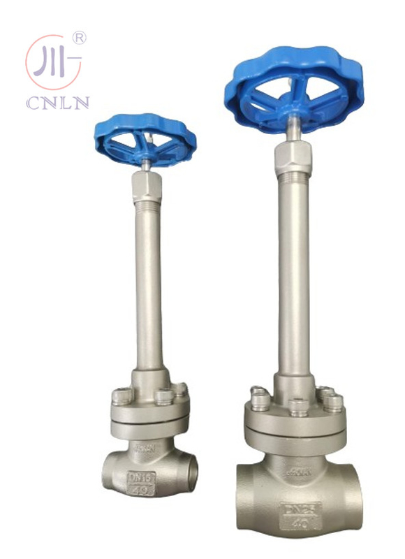Manual Stainless Steel Cryogenic Globe Valve DN25/DN15 For LNG/LOX/LN2/LAR/LCO2