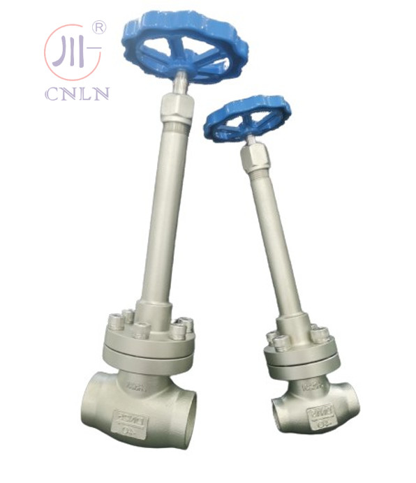 CF3/CF8 Stainless Steel Cryogenic Globe Valve DN25/DN15 For LNG/LOX/LN2/LAR/LCO2