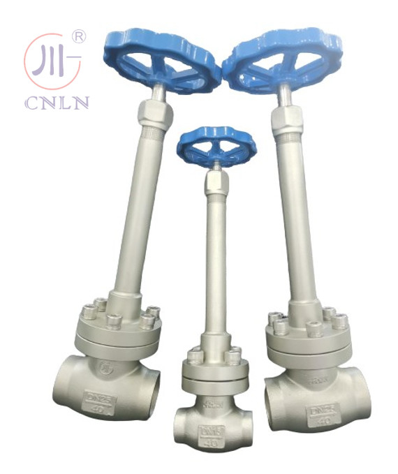 CF3/CF8 Manual Cryogenic Globe Valve DN25/DN15 For LNG/LOX/LN2/LAR/LCO2