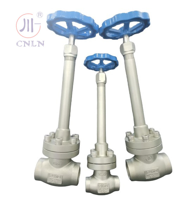 CF3/CF8 Manual Cryogenic Globe Valve DN25/DN15 For LNG/LOX/LN2/LAR/LCO2