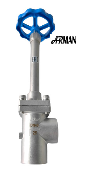 SS304/316 Cryogenic Globe Valve Long Stem-Angle Type (DN15-40mm) for LNG