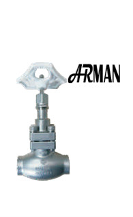 SS304/316 Cryogenic Globe Valve Short Stem-Type D(DN10-50mm) for LNG/LOX/LN2