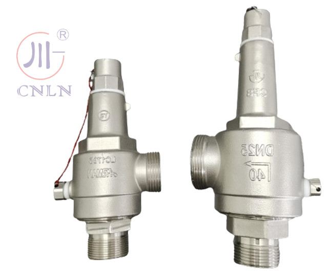 DN25/DN15 Stainless Steel Cryogenic Safety Valve For LNG/LOX/LN2/LAR/LCO2