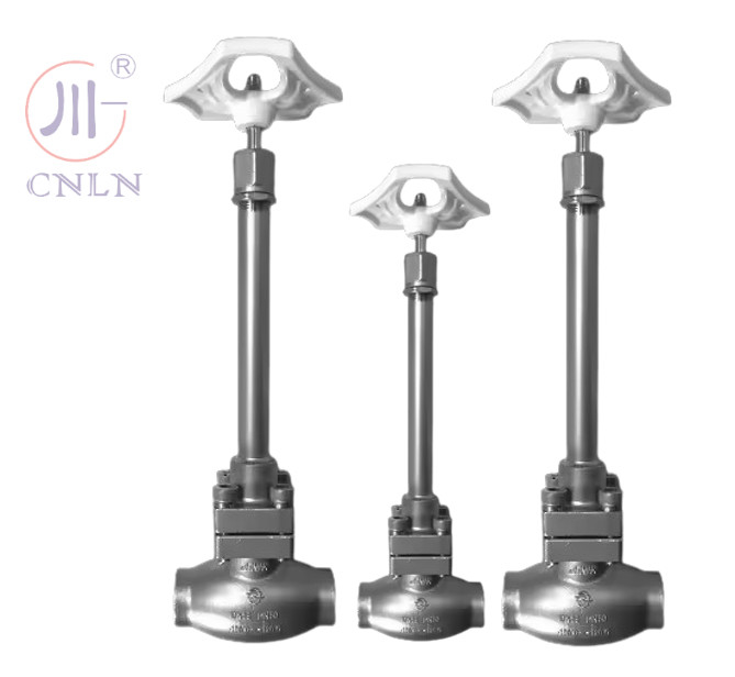 SS304/316 Cryogenic Globe Valve Long Stem-Type D(DN10-100mm) for LNG/LOX/LN2
