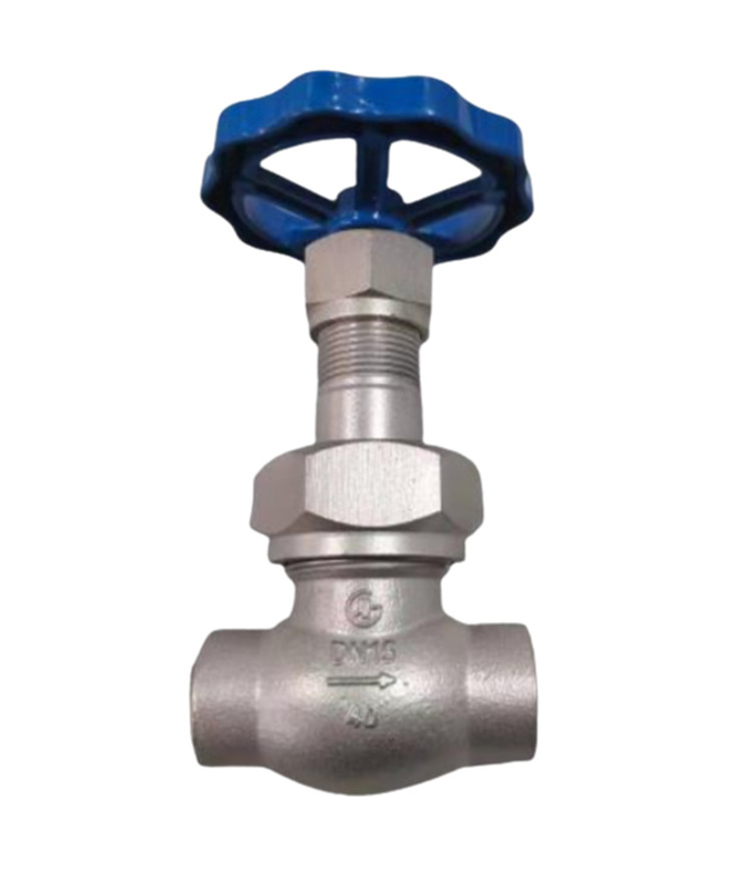 Sort stem LN2 DN25 Cryogenic Socket Weld Globe Valve DJ61F-40P for LNG/LOX/LN2/LAR/LCO2