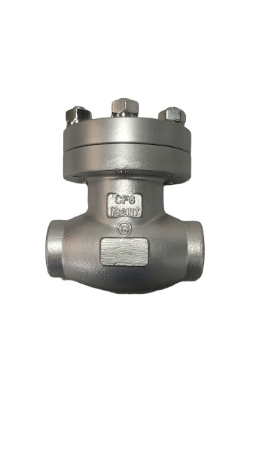 ISO 9001 Certified Cryogenic Check Valve for Cryogenic Temperatures SW End Connection Approved
