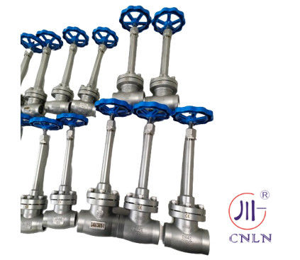 SS304/316 Cryogenic Globe Valve Short Stem-Type B(DN10-100mm) for LNG/LOX/LN2