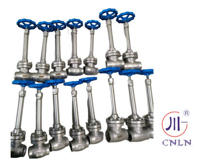 Stainless Steel Low Temperature Globe Valve Short Stem For LNG/LOX/LN2/LAR/LCO2
