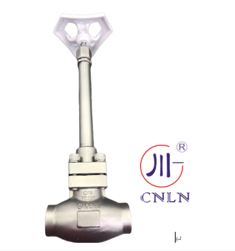 Cryogenic Globe Valve Stainless Steel 304/316 Socket Welding -196°C to +80°C