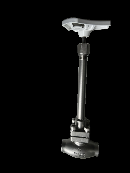 SS304 Cryogenic Globe Valve DN10-DN100 -196°C to +80°C LOX LIN LNG LAR