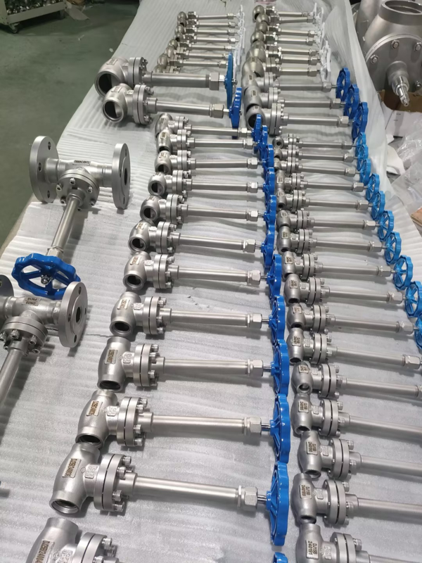 SS304 Cryogenic Globe Valve DN10-DN100 -196°C to +80°C LOX LIN LNG LAR