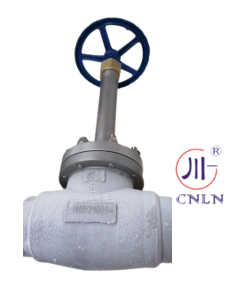 PN50 Cryogenic Globe Valve with 3/8''-4'' Size stainless steel globe valve for LNG/LOX/LIN Applications