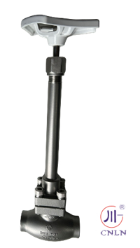 DJ61F-50P Cryogenic Globe Valve with PTFE Seal and 5.0Mpa Pressure for LNG LOX LIN LAR Applications