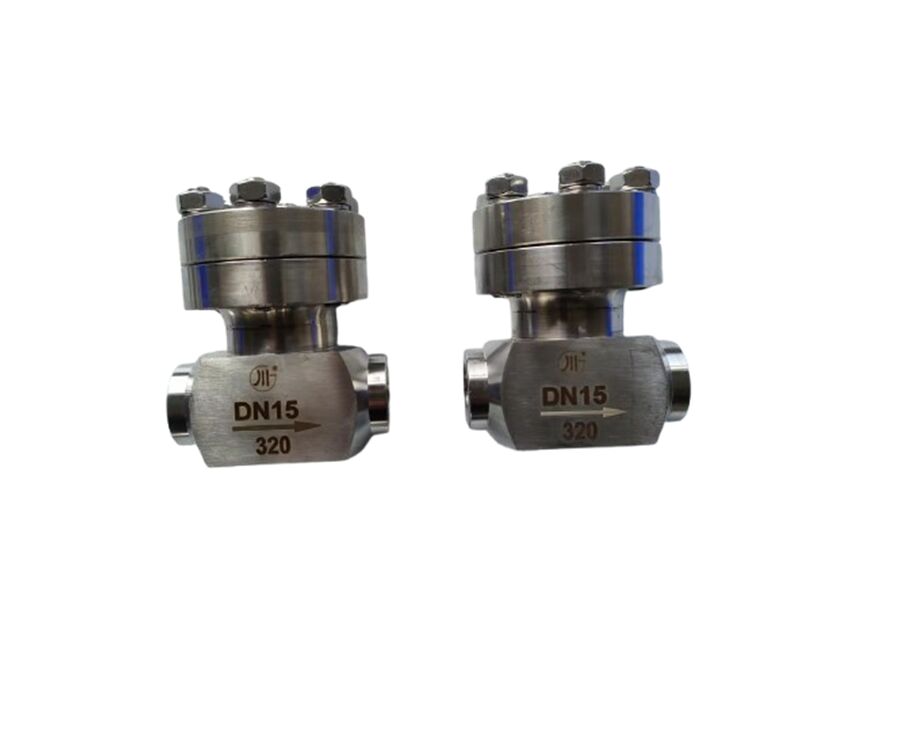 Cryogenic Check Valve with 320 Mpa Maximum Pressure Stainless Steel 304/316 for Temperature Range -196 to +80°C