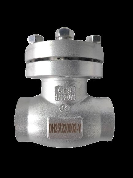 Stainless Steel 304/316 Cryogenic Check Valve with 5.0Mpa Maximum Pressure for -196°C to +80°C Temperature Range