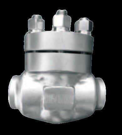 Stainless Steel 304/316 Cryogenic Check Valve with 5.0Mpa Maximum Pressure for -196°C to +80°C Temperature Range