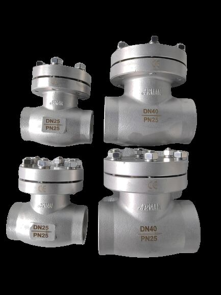 Stainless Steel 304/316 Cryogenic Check Valve with 5.0Mpa Maximum Pressure for -196°C to +80°C Temperature Range