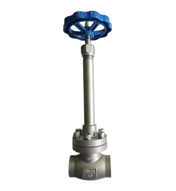 Medium LNG LIN LOX LAR LCO2 Pressure PN40 Cryogenic Globe Valve With Long Stem