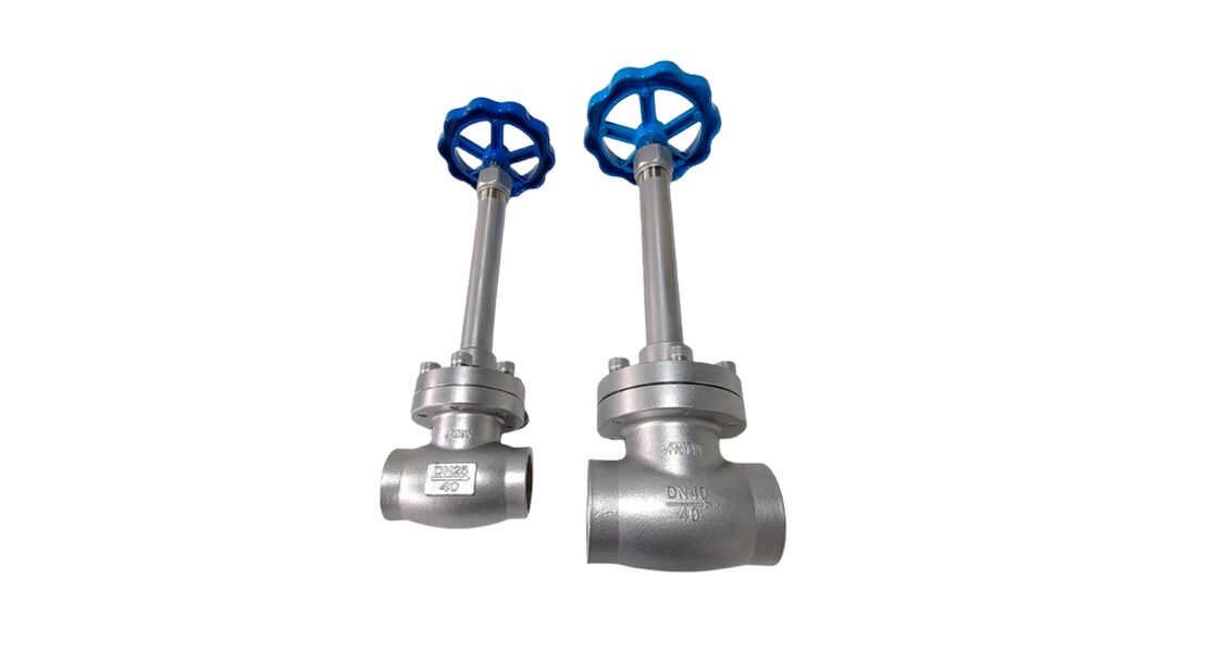 Medium LNG LIN LOX LAR LCO2 Pressure PN40 Cryogenic Globe Valve With Long Stem