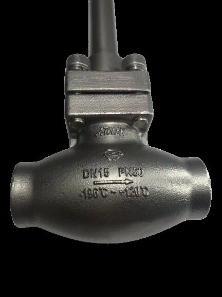 Stainless Steel 304/316 Cryogenic Globe Valve with 5.0Mpa Maximum Pressure and -196°C to +80°C Temperature Range